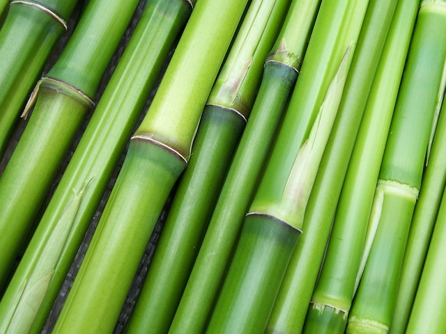 Bamboo Rayon - Бамбуковый шёлк. Ткань и детская одежда из бамбука