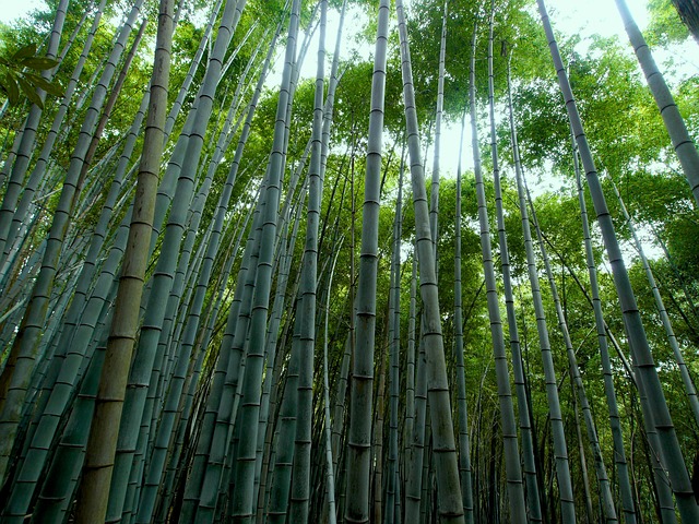 Bamboo Rayon - Бамбуковый шёлк. Ткань и детская одежда из бамбука